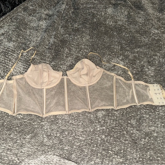 Olivaceous Sheer Cream Bustier - Picture 2 of 3